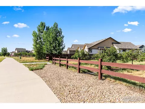 2051 Grain Bin Dr, Windsor, CO 80550 photo 40