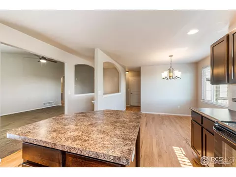 2051 Grain Bin Dr, Windsor, CO 80550 photo 16