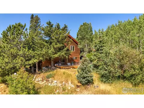 57 Nelson St, Ward, CO 80481