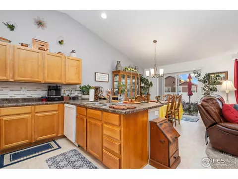 1008 Muntjac St, Severance, CO 80550 photo 10