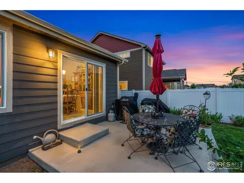 1008 Muntjac St, Severance, CO 80550 photo 33