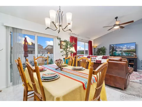 1008 Muntjac St, Severance, CO 80550 photo 18