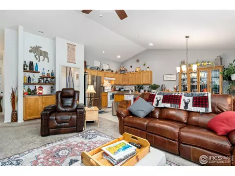 1008 Muntjac St, Severance, CO 80550 photo 15