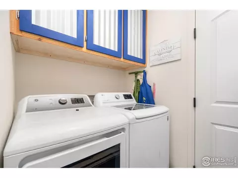1008 Muntjac St, Severance, CO 80550 photo 19