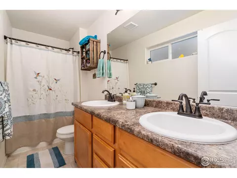 1008 Muntjac St, Severance, CO 80550 photo 23