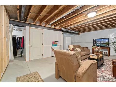 1008 Muntjac St, Severance, CO 80550 photo 29