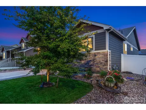 1008 Muntjac St, Severance, CO 80550 photo 3