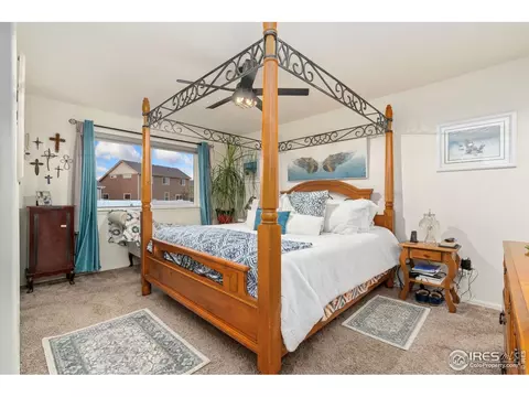 1008 Muntjac St, Severance, CO 80550 photo 20