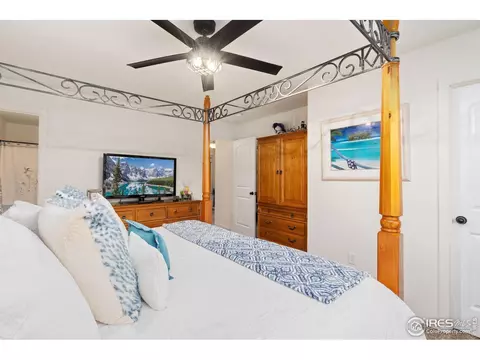 1008 Muntjac St, Severance, CO 80550 photo 22