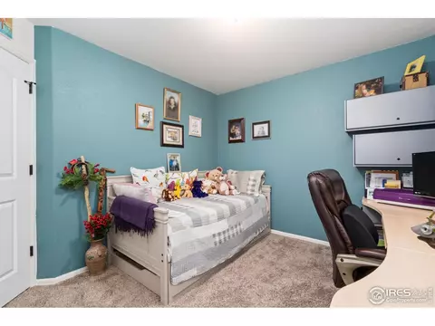 1008 Muntjac St, Severance, CO 80550 photo 28