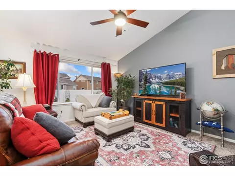 1008 Muntjac St, Severance, CO 80550 photo 8