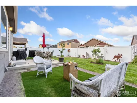 1008 Muntjac St, Severance, CO 80550 photo 31