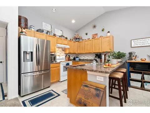 1008 Muntjac St, Severance, CO 80550 photo 9