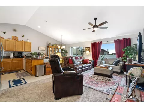 1008 Muntjac St, Severance, CO 80550 photo 7