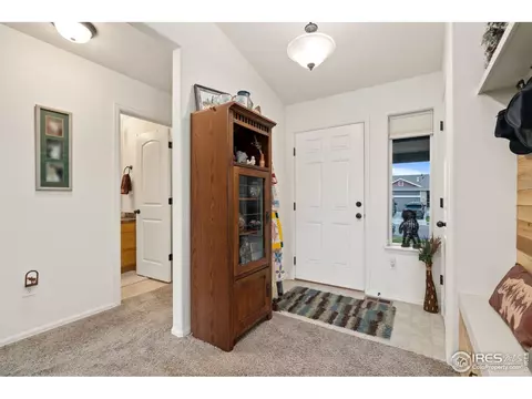 1008 Muntjac St, Severance, CO 80550 photo 6