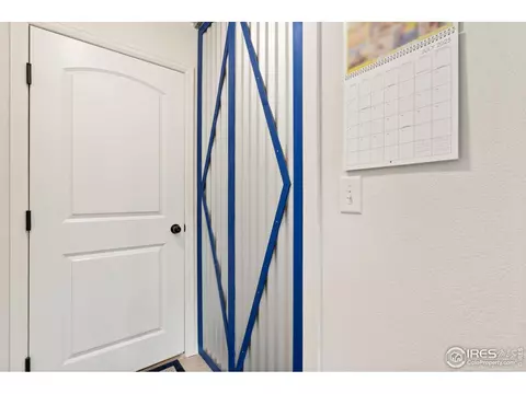 1008 Muntjac St, Severance, CO 80550 photo 14
