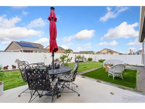 1008 Muntjac St, Severance, CO 80550 photo 30