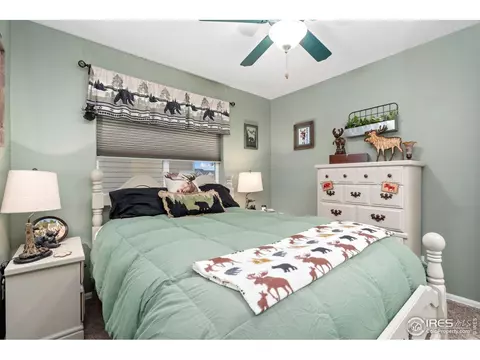 1008 Muntjac St, Severance, CO 80550 photo 26