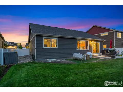 1008 Muntjac St, Severance, CO 80550 photo 35