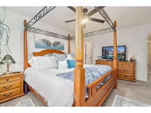 1008 Muntjac St, Severance, CO 80550 photo 21