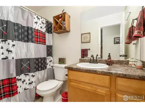 1008 Muntjac St, Severance, CO 80550 photo 24