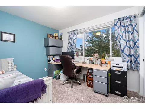 1008 Muntjac St, Severance, CO 80550 photo 27