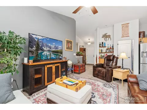 1008 Muntjac St, Severance, CO 80550 photo 12