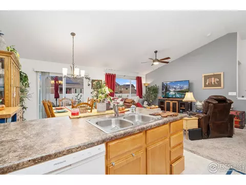 1008 Muntjac St, Severance, CO 80550 photo 11