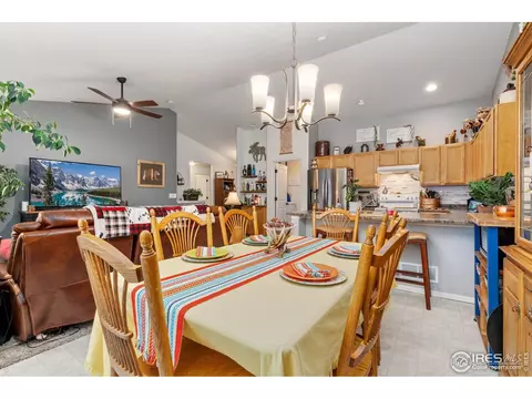1008 Muntjac St, Severance, CO 80550 photo 17