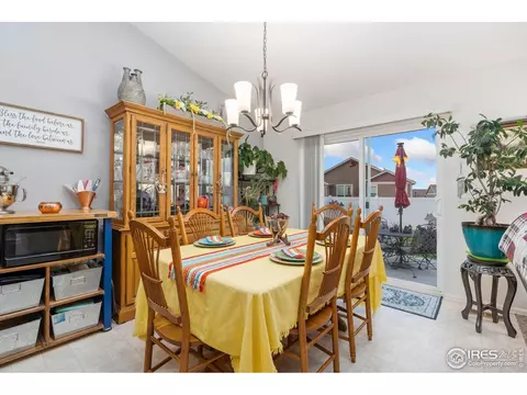1008 Muntjac St, Severance, CO 80550 photo 16