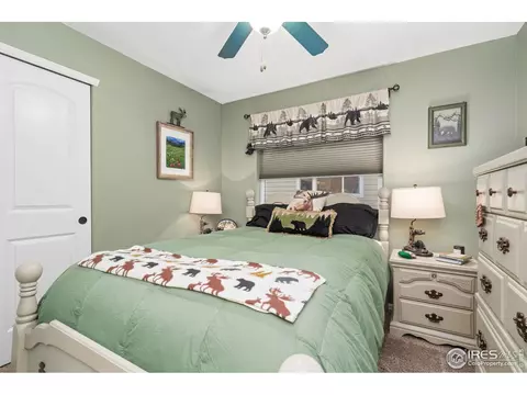1008 Muntjac St, Severance, CO 80550 photo 25