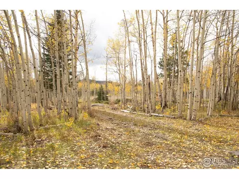 411 Tesuque Trl, Red Feather Lakes, CO 80545