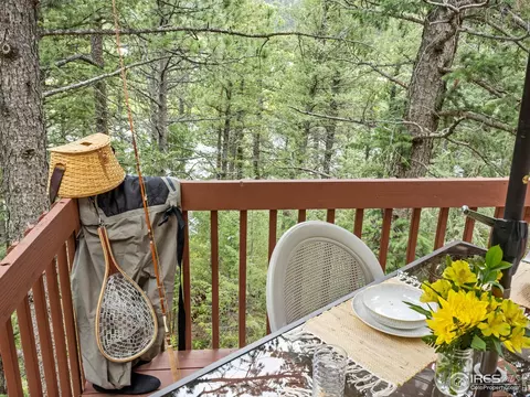 Exterior - 745 Hickory Dr, Lyons, CO 80540 photo 3 of 4