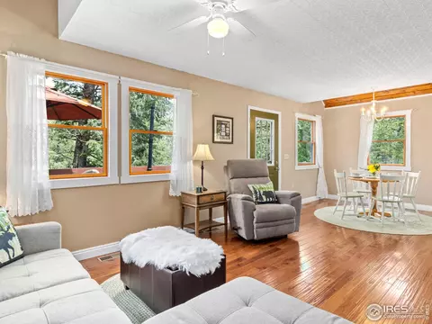 Living - 745 Hickory Dr, Lyons, CO 80540 photo 3 of 5