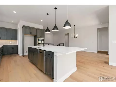 1719 Branching Canopy Dr, Windsor, CO 80550 photo 4