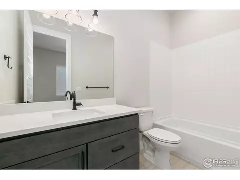 1719 Branching Canopy Dr, Windsor, CO 80550 photo 10