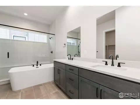 1719 Branching Canopy Dr, Windsor, CO 80550 photo 9