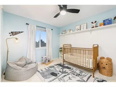 438 Beartooth Ct, Windsor, CO 80550 photo 18