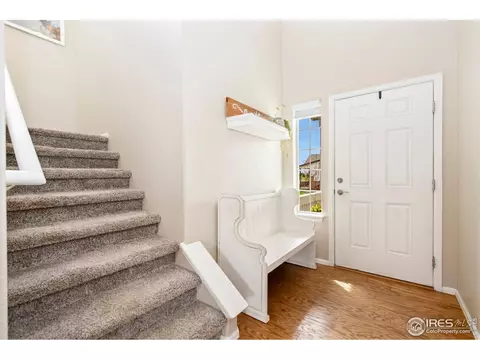 1683 Thrive Dr, Windsor, CO 80550 photo 4