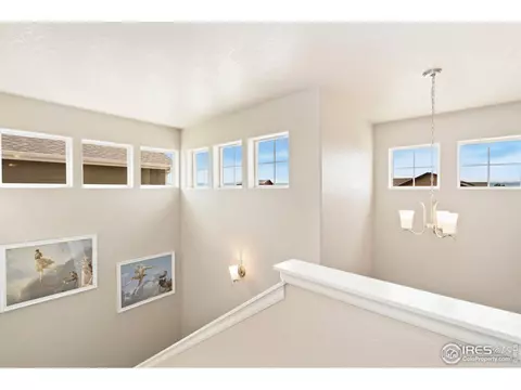 1683 Thrive Dr, Windsor, CO 80550 photo 28