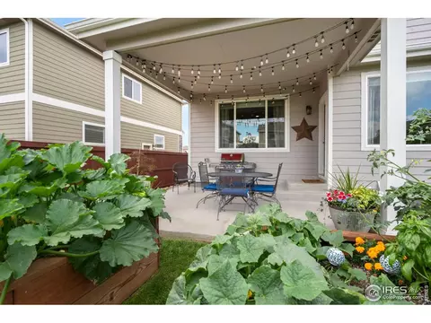 1683 Thrive Dr, Windsor, CO 80550 photo 31