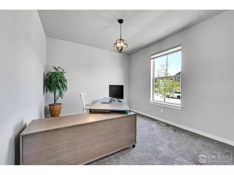 1954 Raindrop Dr, Windsor, CO 80550 photo 18
