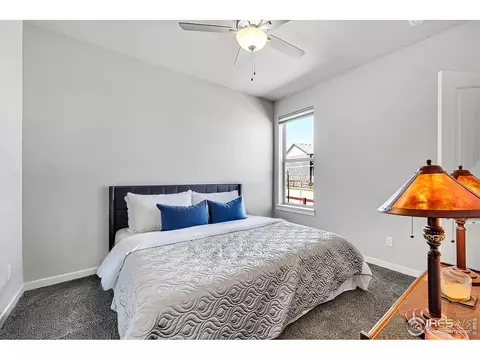 1954 Raindrop Dr, Windsor, CO 80550 photo 15