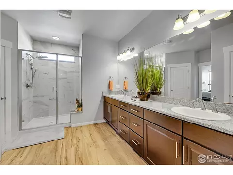 1954 Raindrop Dr, Windsor, CO 80550 photo 13