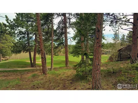 520 Fox Acres Dr, Red Feather Lakes, CO 80545