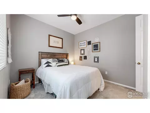 4504 Hollycomb Dr, Windsor, CO 80550 photo 16