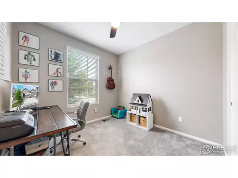 4504 Hollycomb Dr, Windsor, CO 80550 photo 20