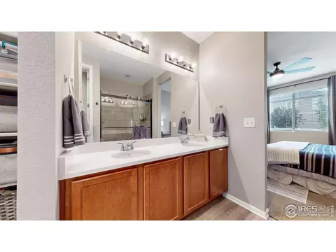 4504 Hollycomb Dr, Windsor, CO 80550 photo 15