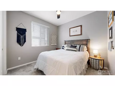 4504 Hollycomb Dr, Windsor, CO 80550 photo 17