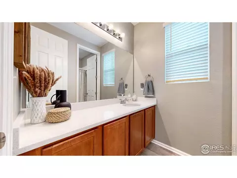 4504 Hollycomb Dr, Windsor, CO 80550 photo 21